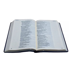 Bíblia Sagrada - Leitura Perfeita | Letra Grande | NVI | Espaço para anotações - Azul