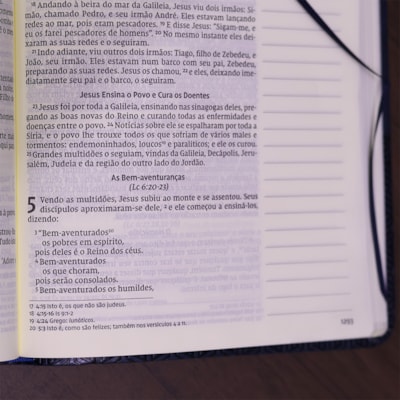 image_825ae127-d8b1-443b-8dad-bba65f280ccf