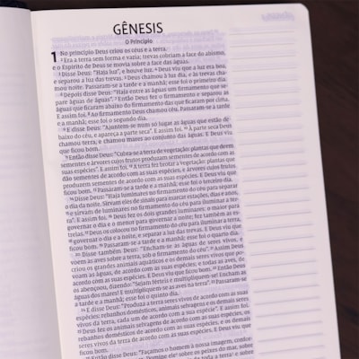 image_01d1acb3-f4e8-4517-a22d-93ec6291ee53