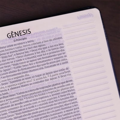 image_a37c7351-8d4e-4c4b-a0d9-68d322b4af92