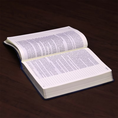 image_1ad920fc-fd73-492e-ba2f-d2e60dcdccb6