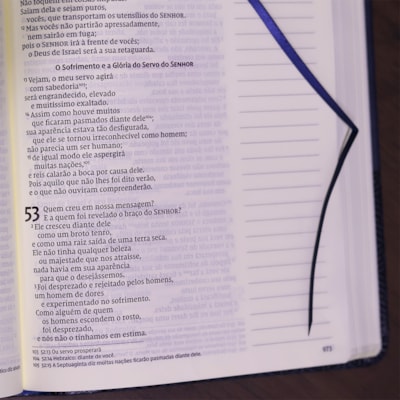 image_8e80788e-e45c-4877-97d7-41b627ee2886