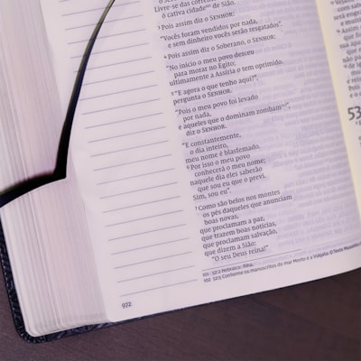 image_bf3f8002-05cc-4a7a-bca5-ec406d8c9ea1