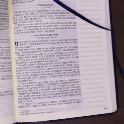 image_090dd1ea-abac-4ff9-974c-bc9f54c152f2