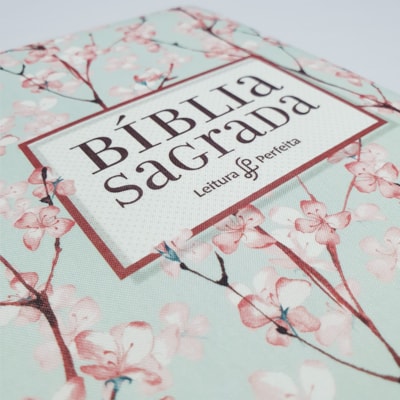 image_e1eb9111-e541-4cd2-9b36-96859e84b3f3