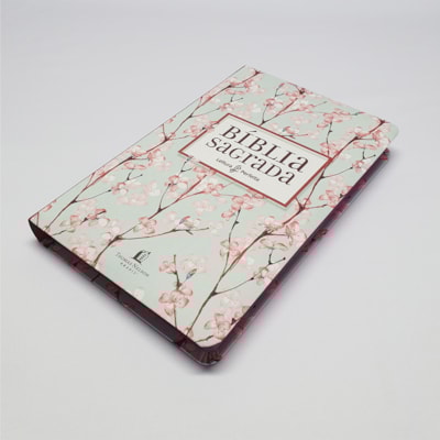 image_19ce4d1f-d5e8-4fa7-9a29-9d156079011b