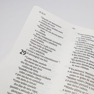 Bíblia Sagrada - Leitura Perfeita | NVI | Cerejeira