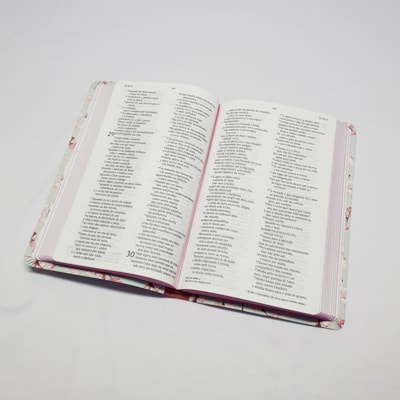 image_d474f589-115c-4901-bd65-a2717fd87769