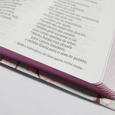 image_52bc6c5a-25ea-4412-81ce-8de5a3b46083