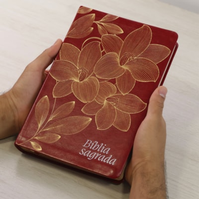 Imagem Principal - 38bc4776-0913-45d5-ac39-a243af814186