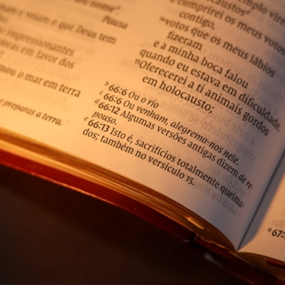 image_ace97ce8-e057-4fc3-aeec-83595742cff9