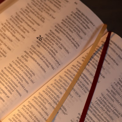 image_b449698f-dedd-48f5-98d4-e6ec56468614