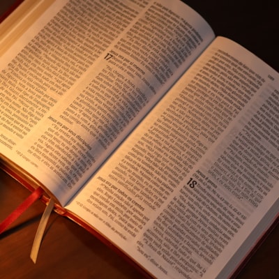 image_4a447017-5b39-49b9-9e5b-12266987375a