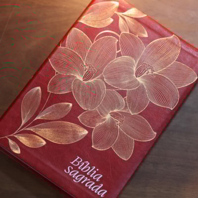 image_3a243d6d-5e29-496f-a9f3-e9c766a5d5aa