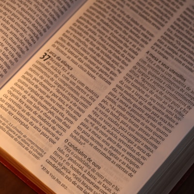 image_08b98731-96c7-4fa8-9109-989c763dfedf