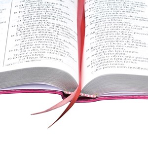 Bíblia Sagrada | Letra Extra Gigante | ARA | Uva e Rosa | c/ Índice