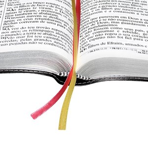 Bíblia Sagrada | Letra ExtraGigante | ARA | Preta Flores | c/ Índice