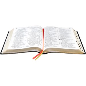 Bíblia Sagrada | Letra Extragigante | ARA | Preta Luxo | c/ Índice