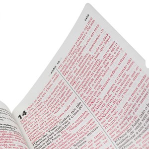 Bíblia Sagrada | Letra Extragigante | ARC | Capa Luxo Flor Pink
