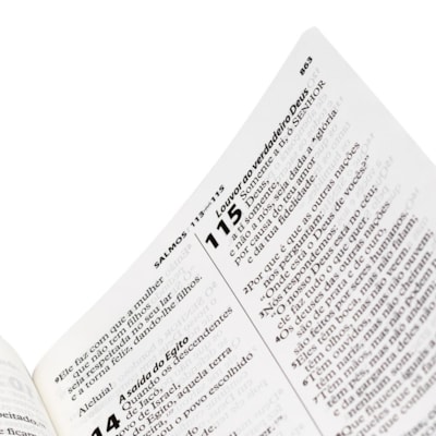 image_fad8a623-fed7-484a-a6a4-7573be15fd21