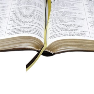 Segunda imagem do produto Bíblia Sagrada | Letra ExtraGigante | NTLH | Marrom Luxo | c/ Índice