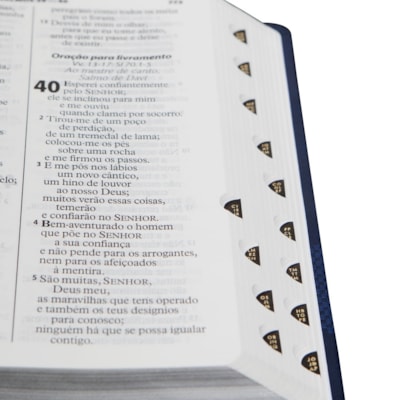 image_263d0b5f-6027-4828-b038-2e3b80aeeb92