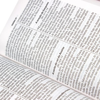 image_259a3624-ba1b-4324-86e7-768dd00cc0ce