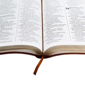 Bíblia Sagrada | Letra Gigante | ARA | Capa Marrom Claro Luxo | c/ Índice
