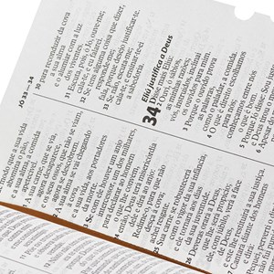 Bíblia Sagrada | Letra Gigante | ARA | Capa Marrom Claro Luxo | c/ Índice