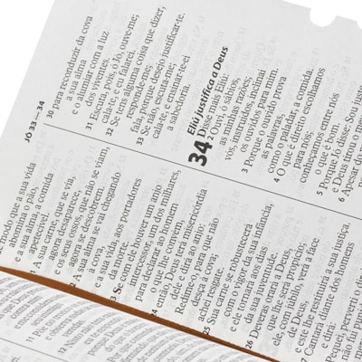 image_cb445467-e04b-4425-81fd-027362c32c91