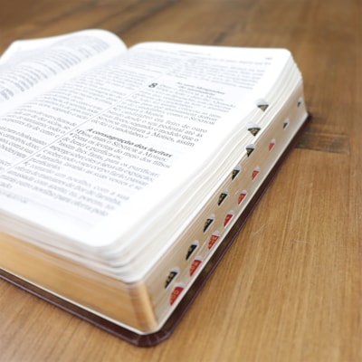 image_7e50e9df-dea3-47da-8d13-ea599d8c2e8b