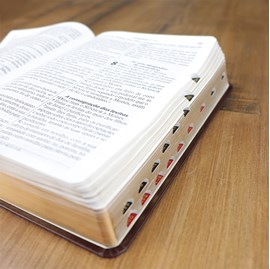 Bíblia Sagrada | Letra Gigante | ARA | Capa Marrom Nobre Luxo | c/ índice