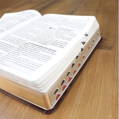 Bíblia Sagrada | Letra Gigante | ARA | Capa Marrom Nobre Luxo | c/ índice