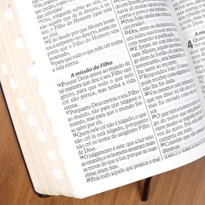 image_25c7db17-bb34-42d0-8ce7-20dfc8db9229