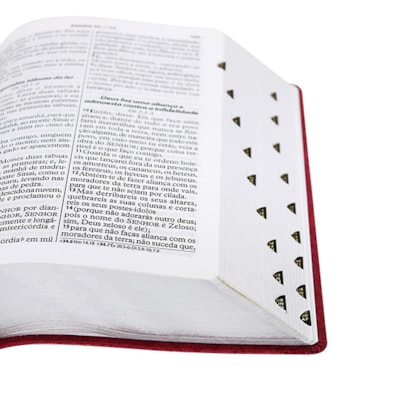 image_30aacabc-7cd3-43c5-ac63-00e2c1aee57c