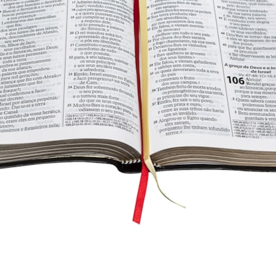 image_8108103d-3735-4980-b159-b464ca293bc4