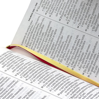 image_290e602b-5bfa-4191-bf54-7707bbfe33a6