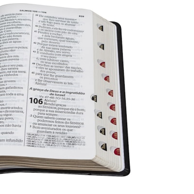 image_4d826d48-48e3-4f06-a0ff-d509fd9cc88a