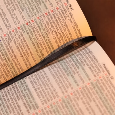 image_5170debe-5854-4fec-98ca-15667c2f3081