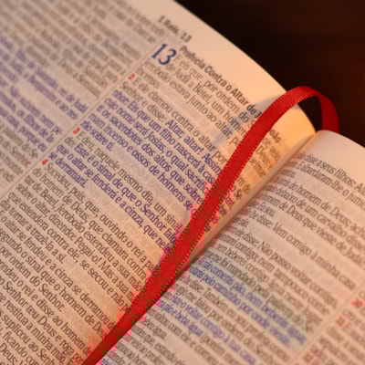 image_91b0c1bc-aac4-40f7-b601-19d5e0697775