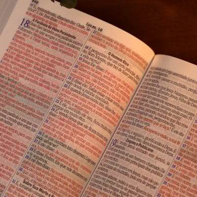 image_4de6c822-5545-4315-bc7e-8ca541747817