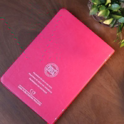 image_5241b4e4-1cf7-4adc-a4c8-4edf29ab9fc9