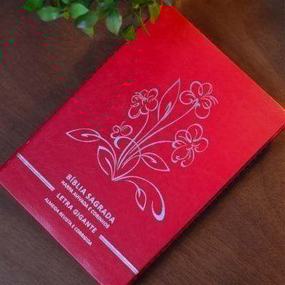 image_09baec56-bdac-474b-8e69-f69dab5769ee