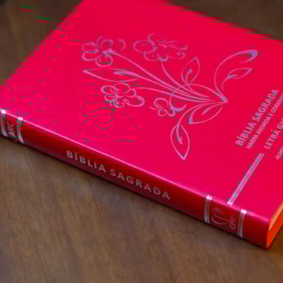 image_79d03f49-f926-4f76-9335-881e6f5111cb