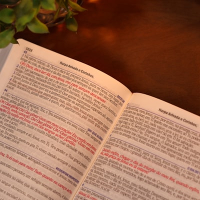 image_b6c39773-7e67-4a1d-9f1f-fe3e52cb0d82