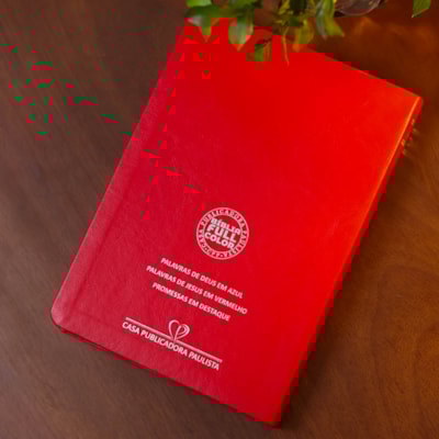 image_53c09951-b0ee-4f47-bb0a-03009bf8ba72