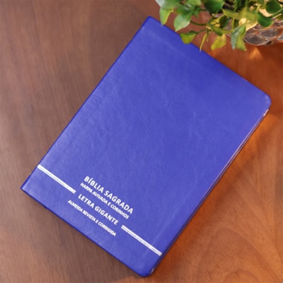 image_45aa27e7-e709-4b29-9dfb-7212937f9e94