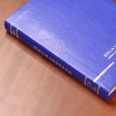 image_0bc2a421-e5ae-4596-bee6-d7efe916c714