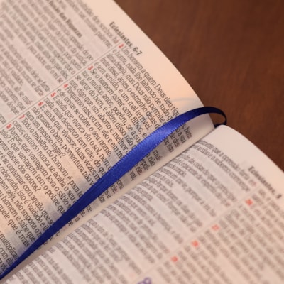 image_fdac6904-4abd-4907-8c0c-43c0138b5bb1