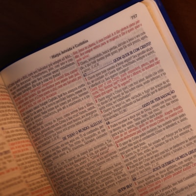 image_fec4385a-0c6b-465b-b823-f51231f59f2d